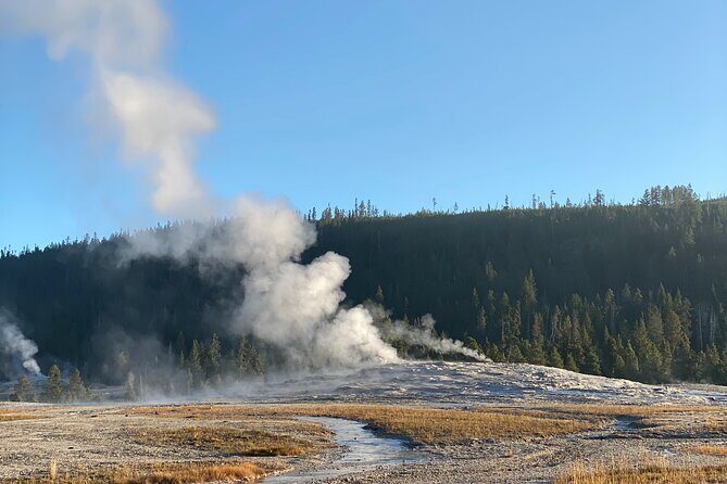 Guided Yellowstone National Park Trip - A Closer Look at the Yellowstone Guided Trip