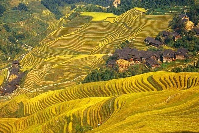 Guilin Day Trip: Dragon's Backbone Rice Terraces & Ping'an Zhuang Ethnic Village - Practical Aspects & What to Expect