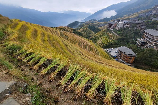 Guilin Longji Rice Terraces and Four Lakes Night Cruise Day Tour - Guilin Longji Rice Terraces and Four Lakes Night Cruise Day Tour Review