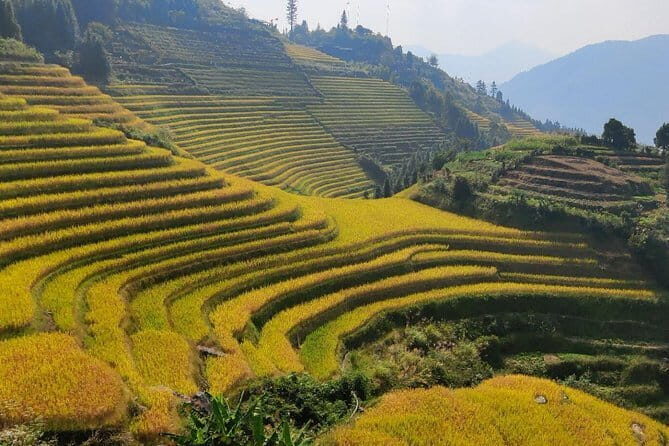 Guilin Longji Rice Terraces and Four Lakes Night Cruise Day Tour - Key Points