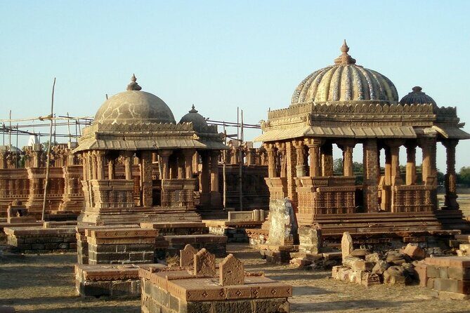 Gujarat Archaeological & Natural Wonders - Who Should Consider This Tour?