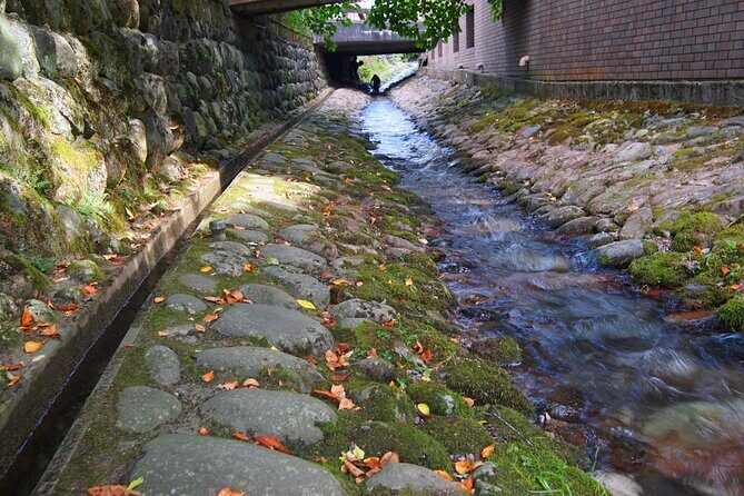Gujo Hachiman All Must-Sees Full Day Private Tour with Government-Licensed Guide - Who Will Love This Tour?