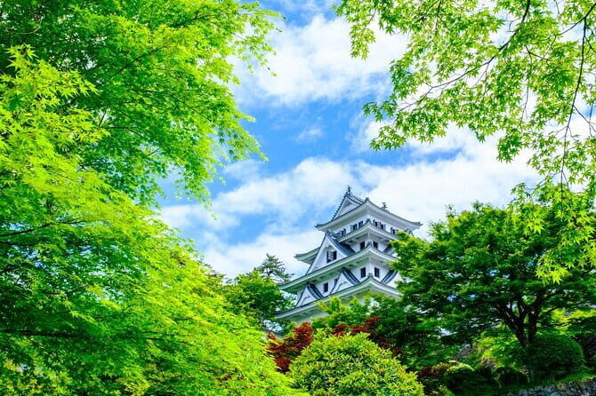 Gujo, Hida Takayama, and Shirakawa-go Day Tour from Nagoya - The Itinerary in Detail