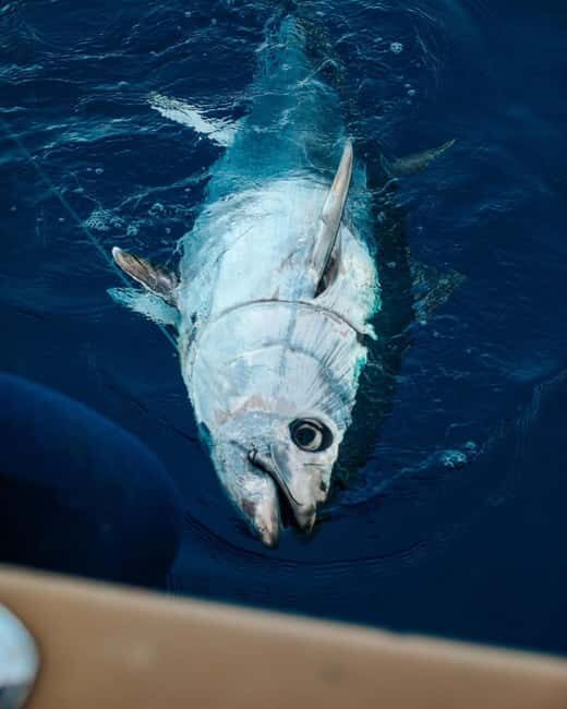 Gulf of Ajaccio: Private Fishing Trip in a Perle Blanche - What Makes This Tour Stand Out