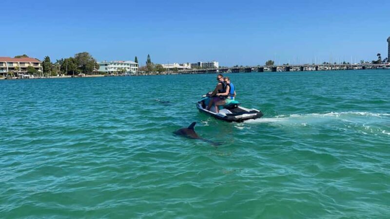 Gulf of Mexico: Guided Jet Ski Tour with Dolphin Watching - An In-Depth Look at the Gulf of Mexico Jet Ski Tour