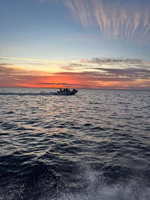 Gulf of Morbihan cruise with/without stopover on Île-aux-Moines - Key Points