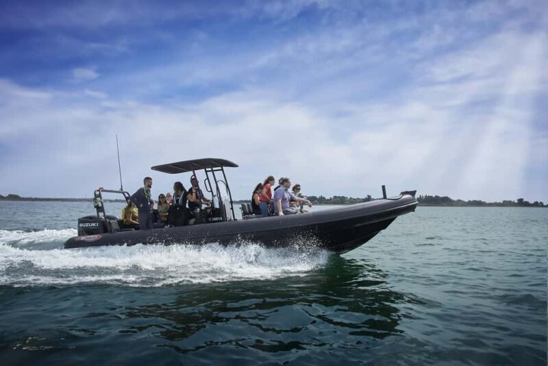 Gulf of Morbihan cruise with/without stopover on Île-aux-Moines - Final Thoughts: Is This Tour Right for You?