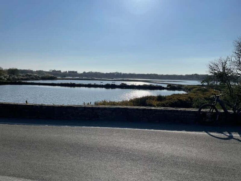 Gulf of Morbihan: from Auray to the inner shores and back via St Goustan - Who Will Love This Tour?