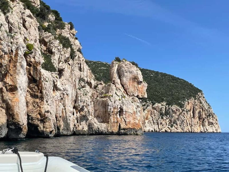 Gulf of Olbia: Dolphin watching by dinghy - FAQs