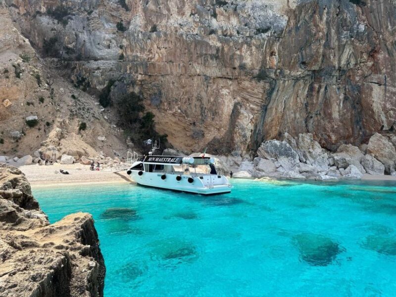 Gulf of Orosei: Grotta del Bue Marino & Cala Luna Boat Tour - The Sum Up