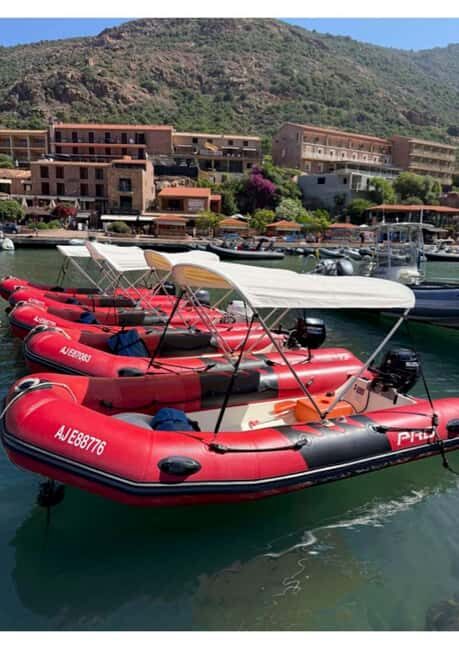 Gulf of Porto: Boat rental without a license - What to Expect from the Gulf of Porto Boat Experience