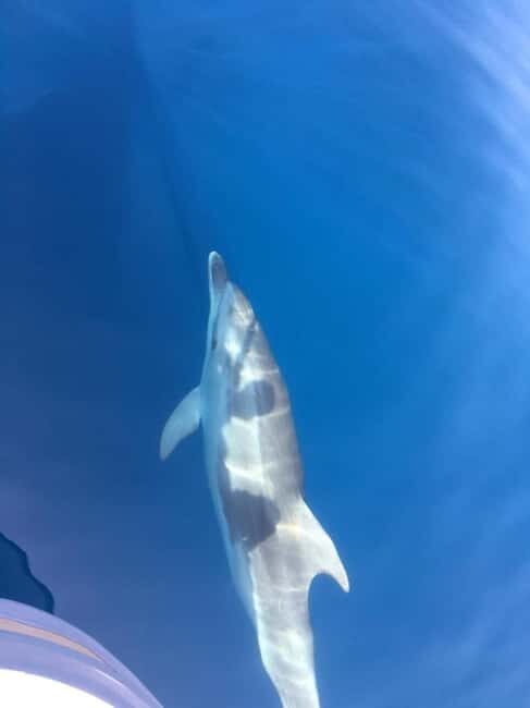 Gulf of Porto: Check out the Calanques de Piana and/or the Scandola Reserve - Key Points