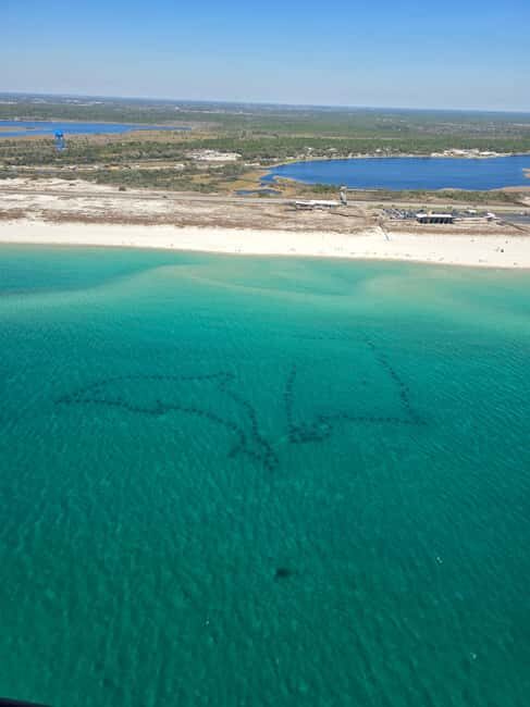 Gulf Shores, Orange Beach: 30-Minute Helicopter Tour - Who Will Love This Tour?