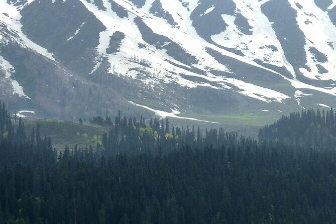 Gulmarg Adventure: A Thrilling Day Trip from Srinagar - An In-Depth Look at the Gulmarg Day Trip