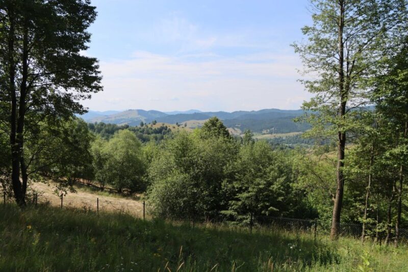 Gura Humorului:Day trip with multiple activities - Discovering the Wild Side of Bucovina: A Day Trip with Multiple Activities