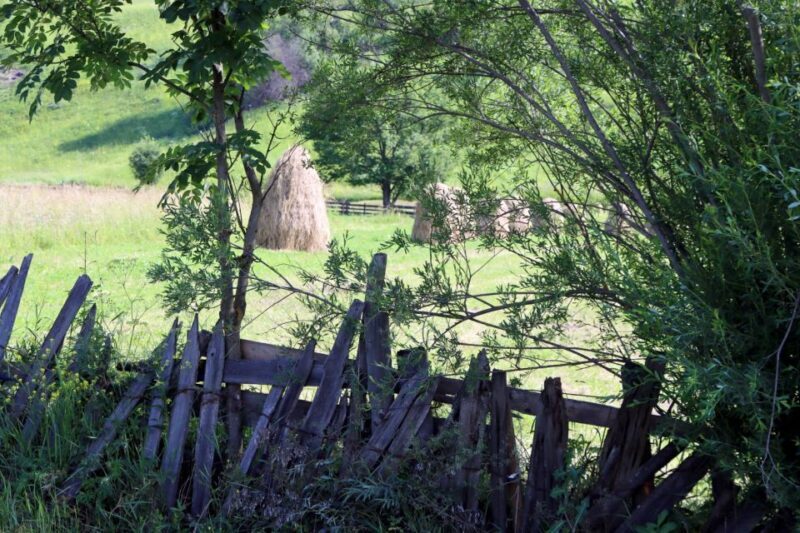 Gura Humorului:Day trip with multiple activities - Who Should Consider This Tour?