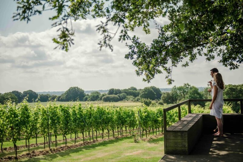 Gusbourne Wine Tasting 11am - FAQ