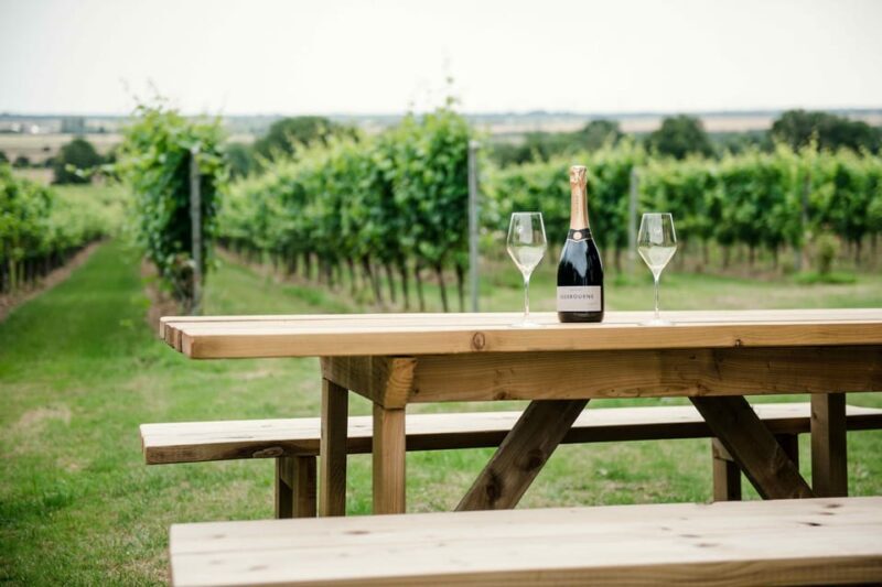 Gusbourne Wine Tasting 2pm - Final Thoughts