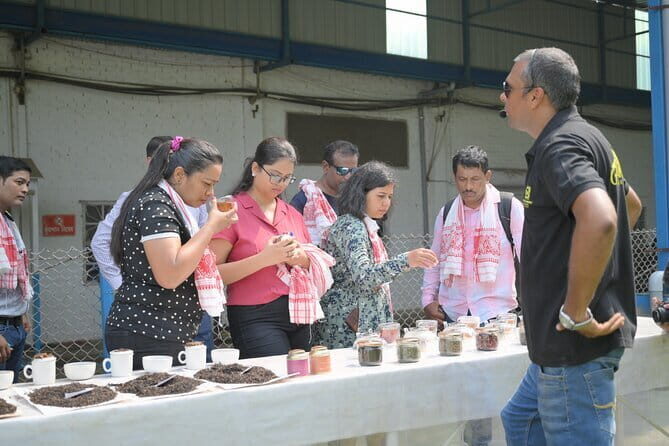 Guwahati Tea Garden tour @ Amchong - Why This Tour Works Well