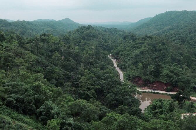 Guwahati Tea Garden tour @ Amchong - The Sum Up: Is It Worth It?