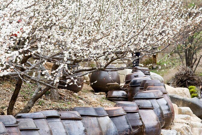 Gwangyang Plum Blossom & Jeonju Hanok Village Day Tour from Seoul - A Delightful Day Out Exploring Korea’s Heartland