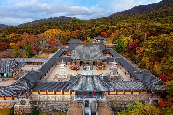 Gyeongju UNESCO World Heritage Guided Day Tour from Busan - Who Should Consider This Tour?