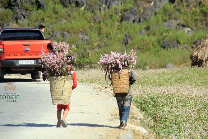 Ha Giang 3 days/ 2 nights adventure: Amazing adventure & mountain pictureques - What Makes This Tour Stand Out?