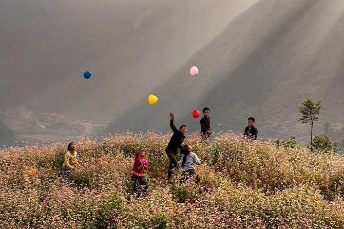 Ha Giang advanture 3 days 2 nights - The Itinerary in Detail: What You Can Expect