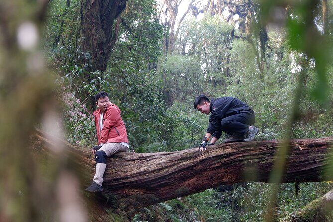 Ha Giang Bikki's Jungle homestay - FAQ