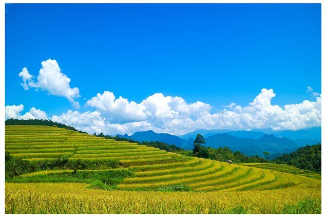 Ha Giang Loop 2D/1N Private Room + Free Stay Hotel 1N before tour - Who Is This Tour Best For?