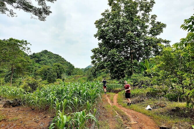 Ha Giang Loop Trekking Full Day Tour - Key Points