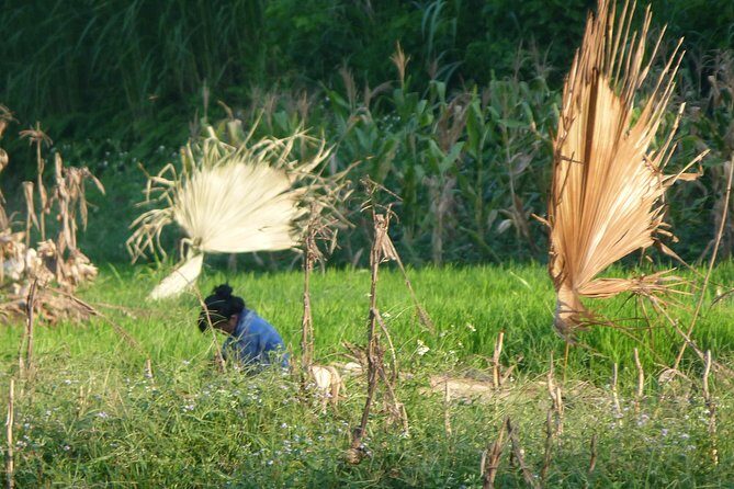 Ha Giang Trekker 2D2N - Introduction: What Makes This Tour Special?