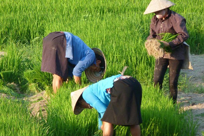 Ha Giang Trekker 2D2N - The Sum Up: Who Should Consider This Tour?