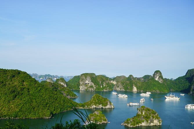 Ha Long Bay 1 Day Joined Luxury Tour - Final Thoughts