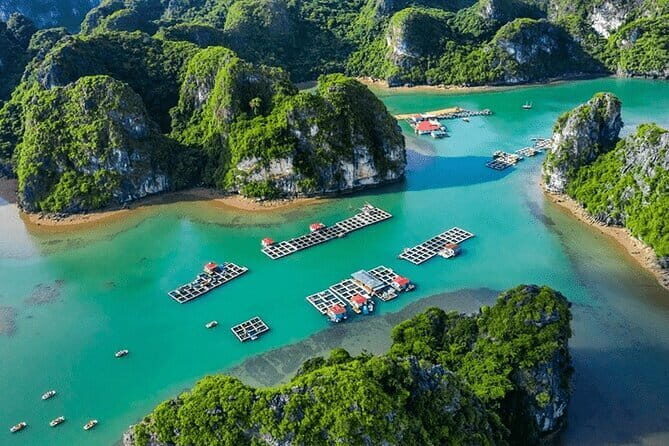 Ha Long Bay Day Cruise: Caves, Lunch & Kayaking from Hanoi - An In-Depth Look at the Ha Long Bay Day Cruise Experience