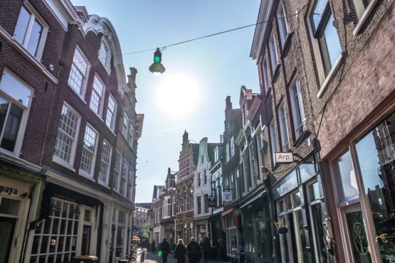 Haarlem: City Highlights Walking Tour - Who Will Love This Tour?
