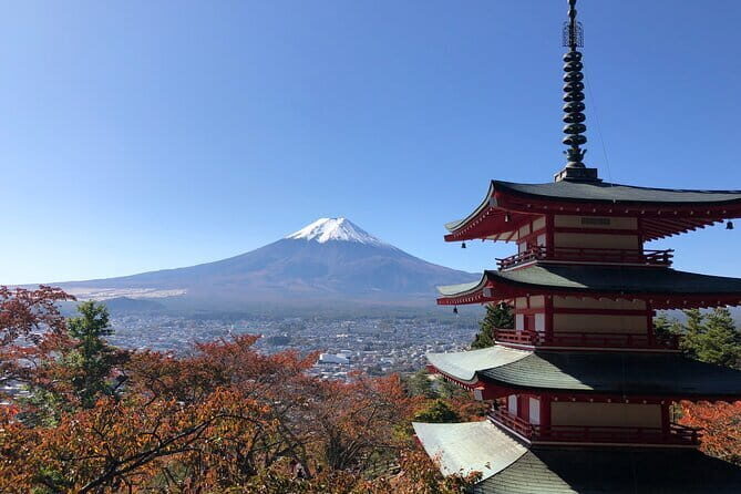 Hachik, Hachi, Tale of a Faithful Dog, Mystery Tour - Who Should Consider This Tour?
