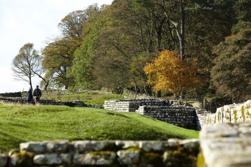 Hadrian's Wall: Housesteads Roman Fort Entry Ticket - Authenticity and Review Insights