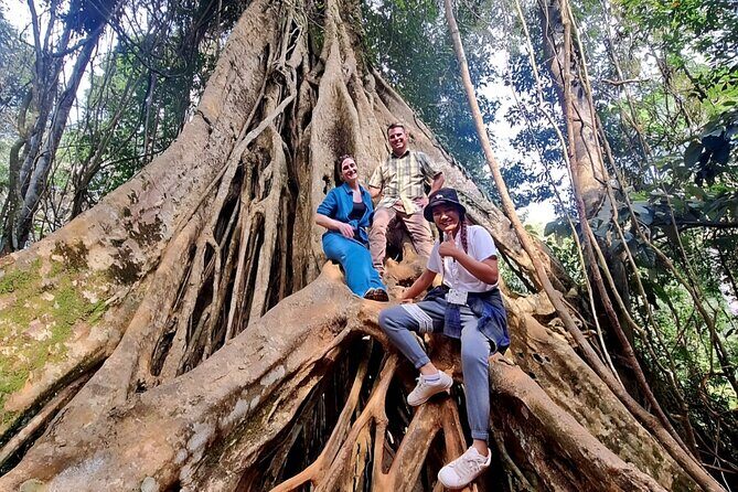 Haew Suwat Waterfall-Jungle Hiking to KM 33 Nong Pak Chi - Who is This Tour Best For?