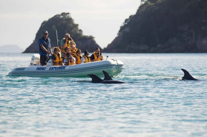 Hahei Explorer Cathedral Cove Boat Tour - Starting Point & Accessibility