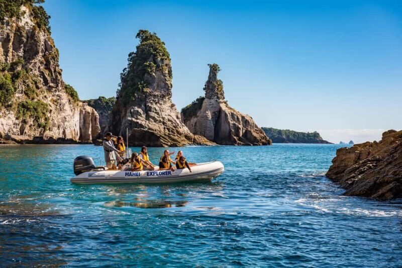 Hahei Explorer Cathedral Cove Boat Tour - The Experience: What Travelers Say