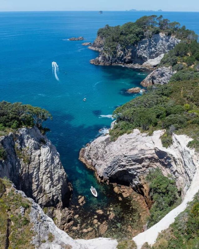 Hahei Explorer Cathedral Cove Boat Tour - The Value Proposition