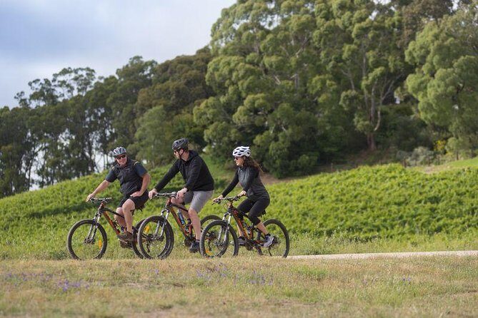 Hahndorf food and wine E-Bike Tour - Key Points