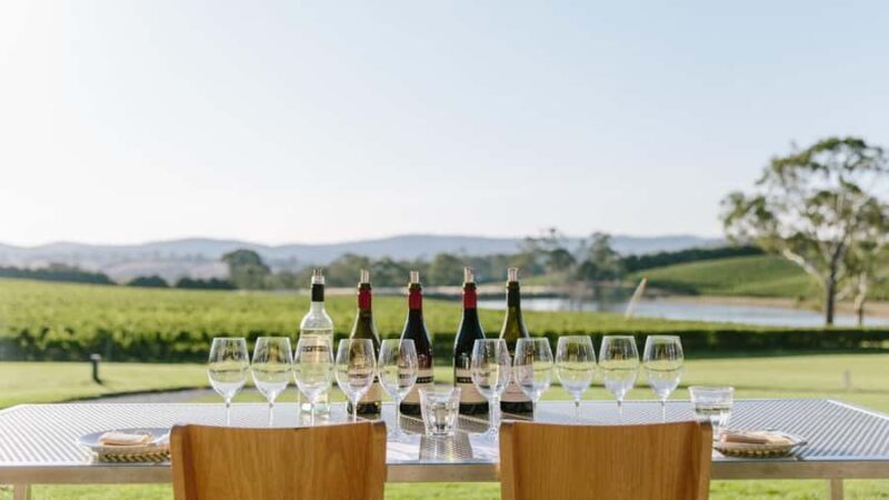 Hahndorf: Gourmet Food & Wine E-Bike Tour - Final Thoughts