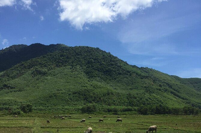 HAI VAN PASS MOTORBIKE TOUR - Top Gear Experience - The Ride of a Lifetime: What to Expect
