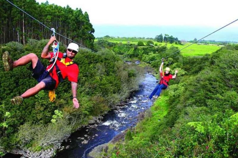 Hakalau: 9-Line Zipline Adventure with Umauma Falls View - Key Points