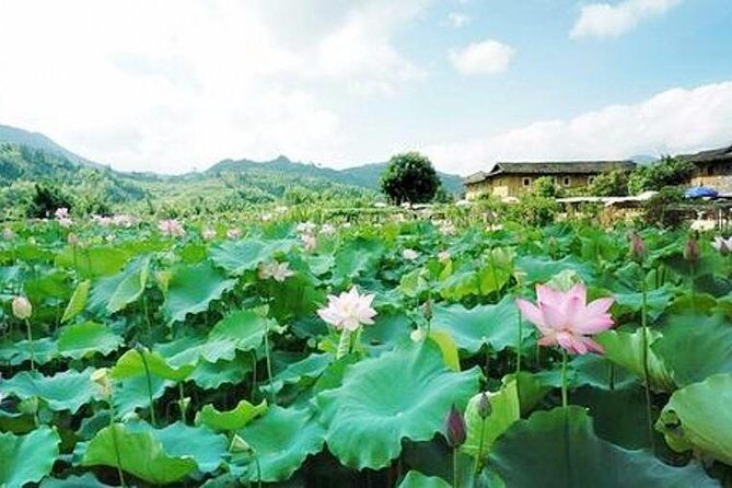 Hakka Tulou Village and Yun Shui Yao Water Town Private Day Trip from Xiamen - Frequently Asked Questions