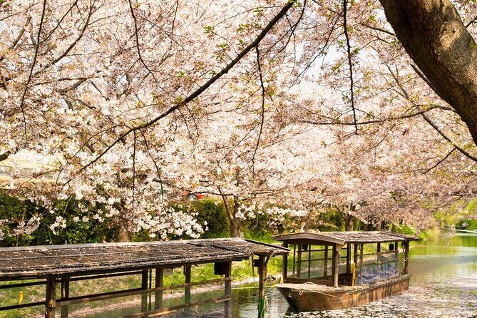 Hakone and Mt. Fuji Day Trip with Private Vehicle - Frequently Asked Questions