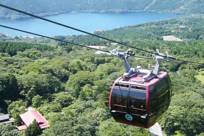 Hakone Free Pass, 2-3 Days Travel Voucher Japan - What the Reviews Say