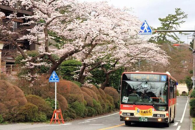 Hakone Free Pass, 2-3 Days Travel Voucher Japan - Who Would Benefit Most?